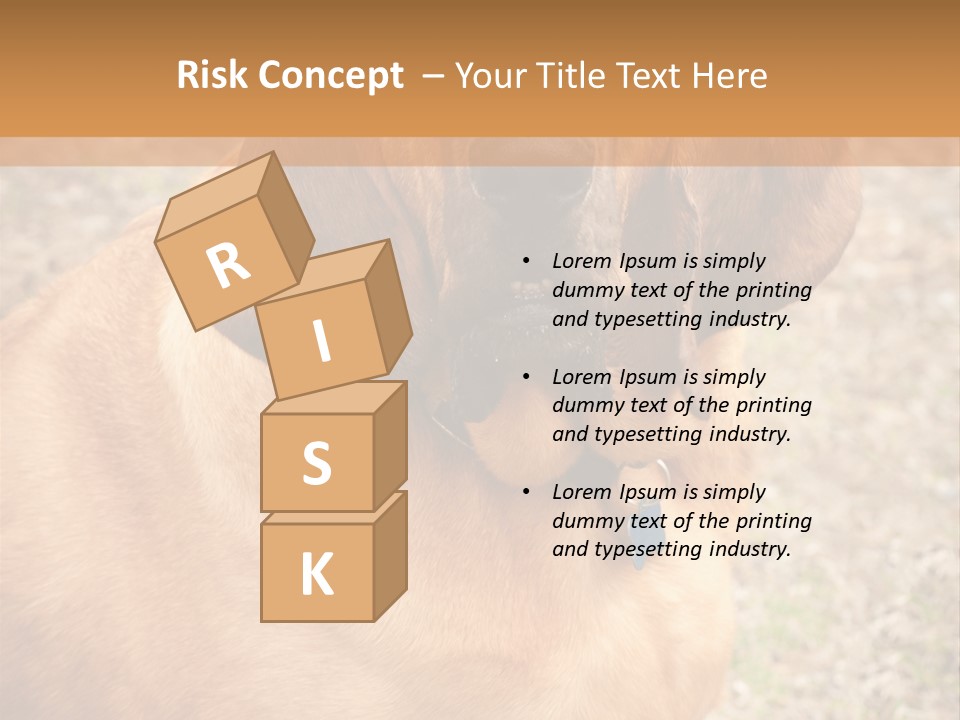 A Brown Dog With A Blue Tag On It's Collar PowerPoint Template