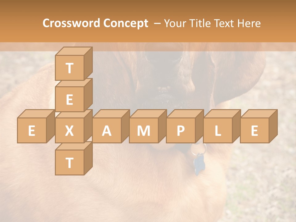 A Brown Dog With A Blue Tag On It's Collar PowerPoint Template