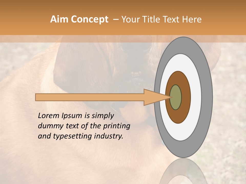 A Brown Dog With A Blue Tag On It's Collar PowerPoint Template