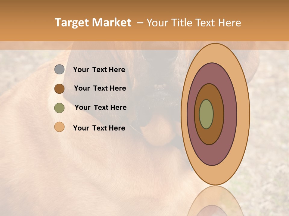 A Brown Dog With A Blue Tag On It's Collar PowerPoint Template