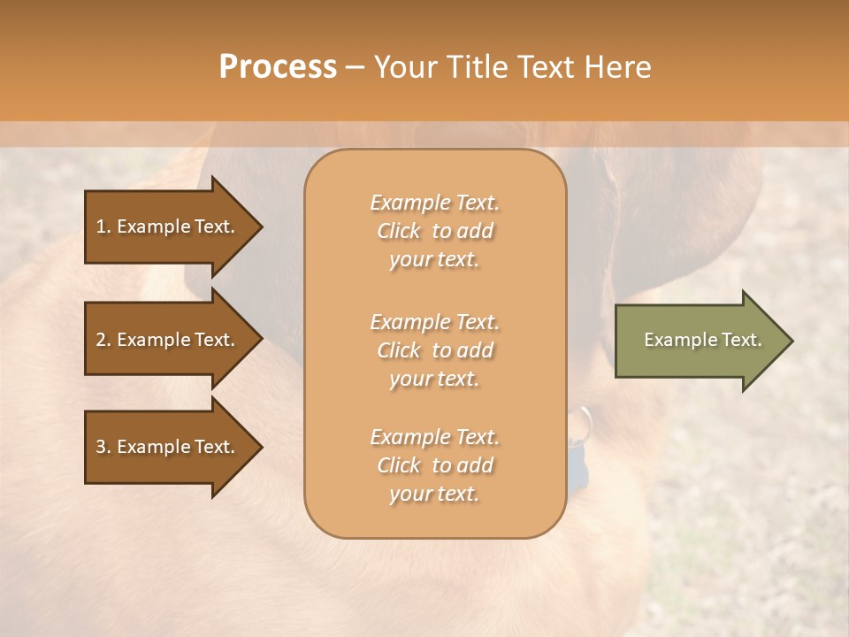 A Brown Dog With A Blue Tag On It's Collar PowerPoint Template