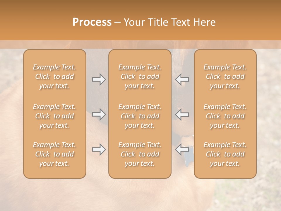A Brown Dog With A Blue Tag On It's Collar PowerPoint Template