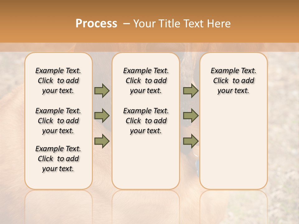 A Brown Dog With A Blue Tag On It's Collar PowerPoint Template