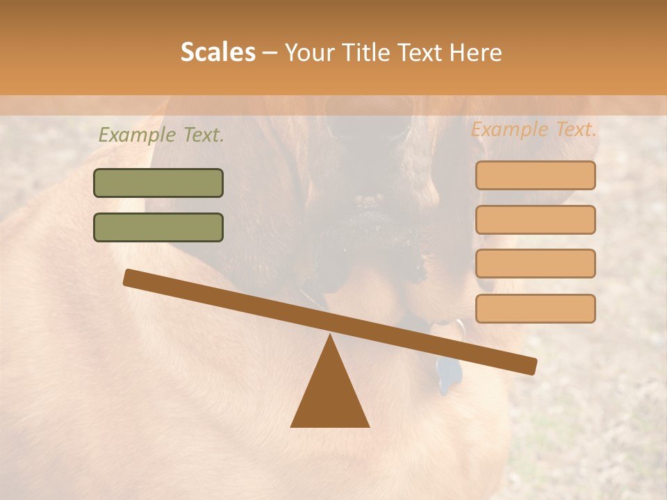 A Brown Dog With A Blue Tag On It's Collar PowerPoint Template
