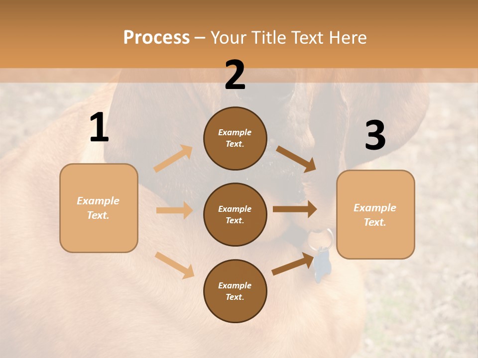 A Brown Dog With A Blue Tag On It's Collar PowerPoint Template