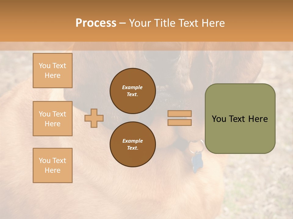 A Brown Dog With A Blue Tag On It's Collar PowerPoint Template