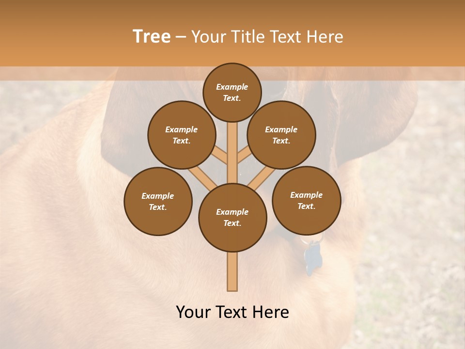 A Brown Dog With A Blue Tag On It's Collar PowerPoint Template