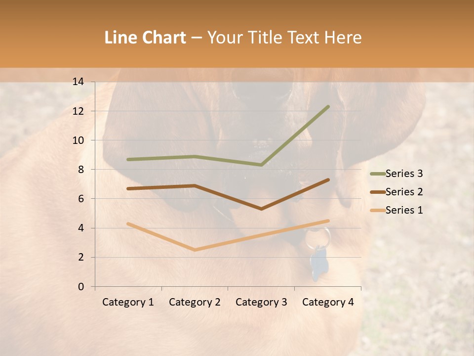 A Brown Dog With A Blue Tag On It's Collar PowerPoint Template