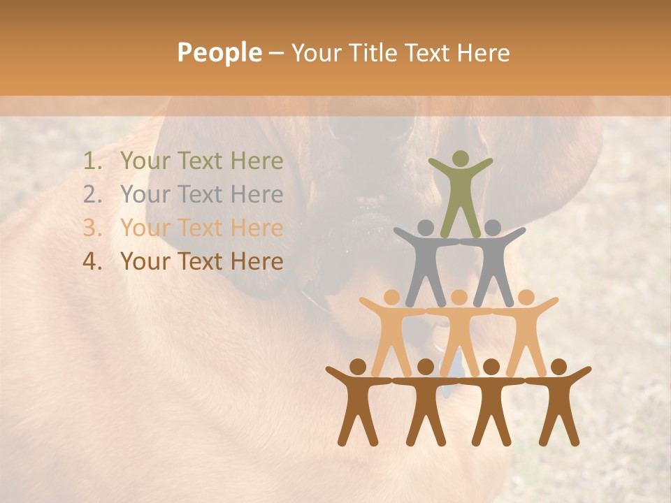 A Brown Dog With A Blue Tag On It's Collar PowerPoint Template