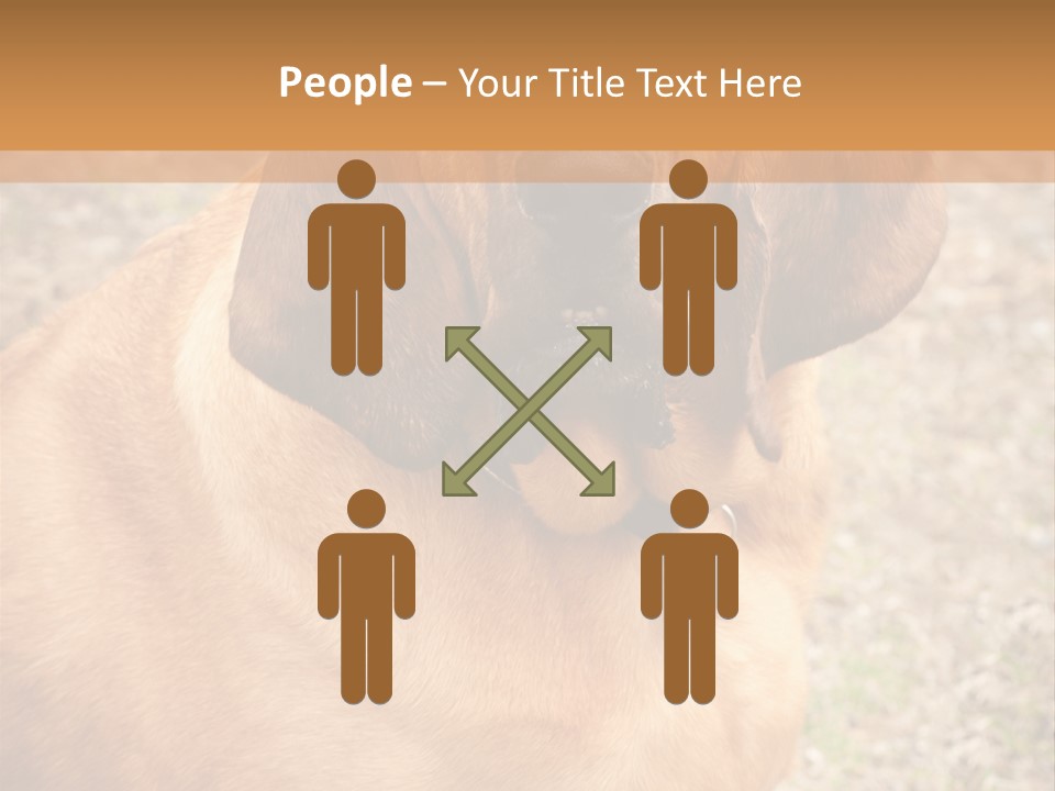 A Brown Dog With A Blue Tag On It's Collar PowerPoint Template