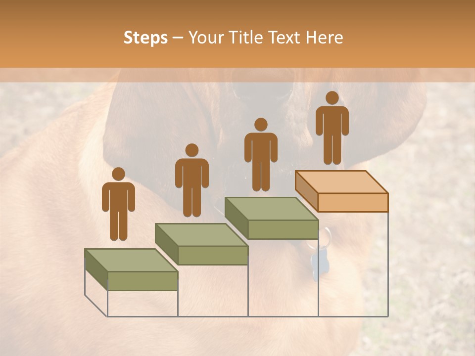 A Brown Dog With A Blue Tag On It's Collar PowerPoint Template