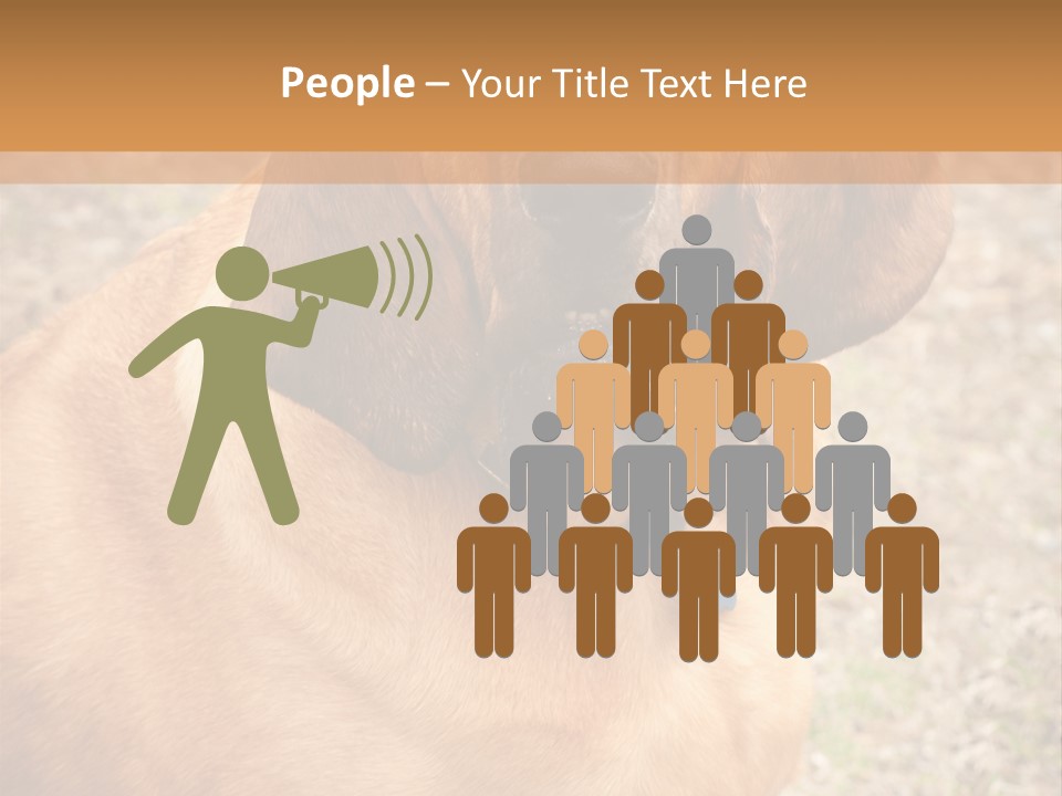 A Brown Dog With A Blue Tag On It's Collar PowerPoint Template