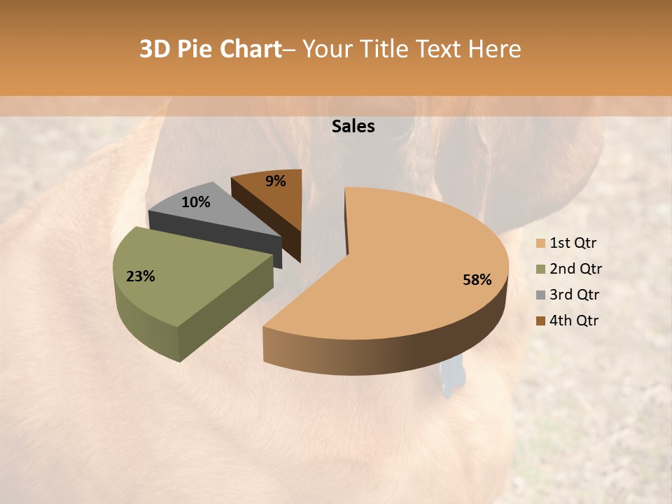 A Brown Dog With A Blue Tag On It's Collar PowerPoint Template