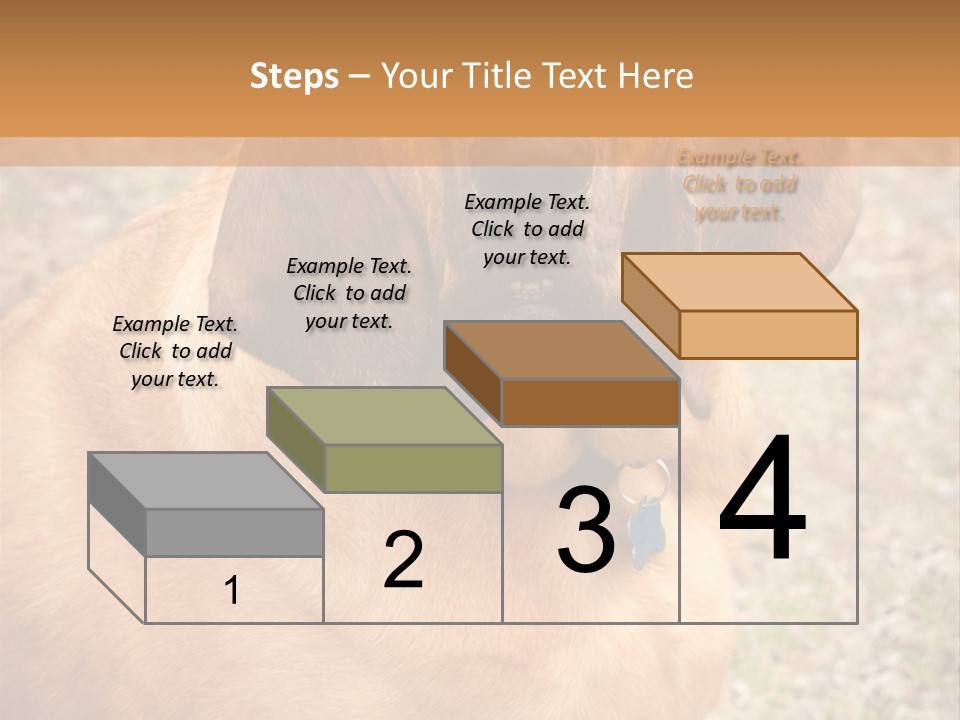 A Brown Dog With A Blue Tag On It's Collar PowerPoint Template