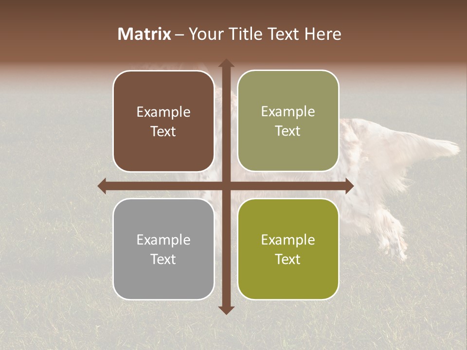 A Brown And White Dog Standing On Top Of A Lush Green Field PowerPoint Template