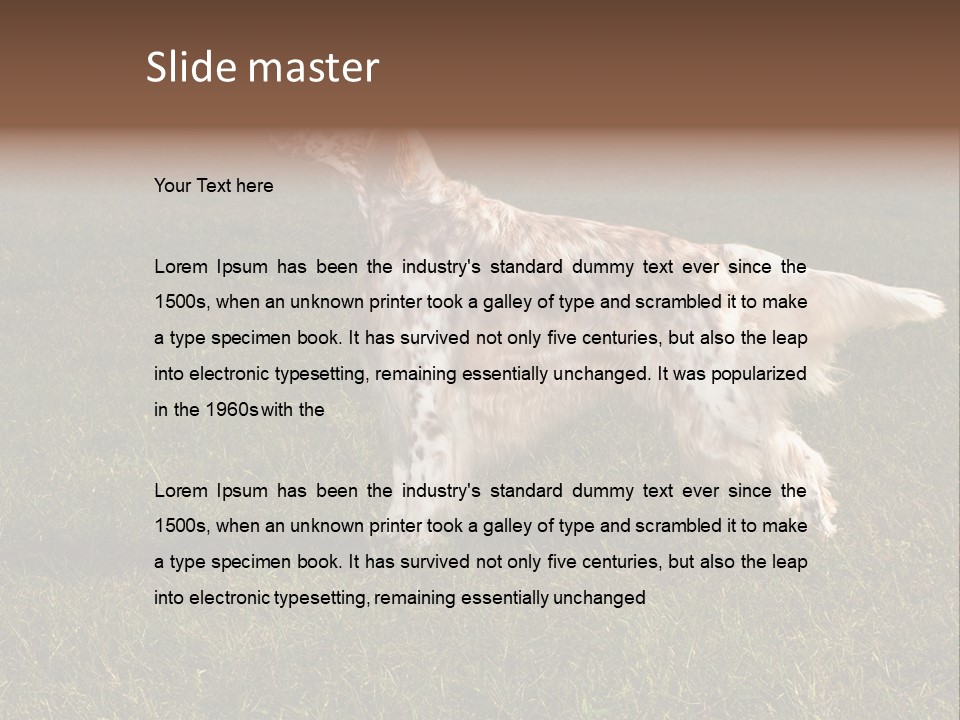 A Brown And White Dog Standing On Top Of A Lush Green Field PowerPoint Template