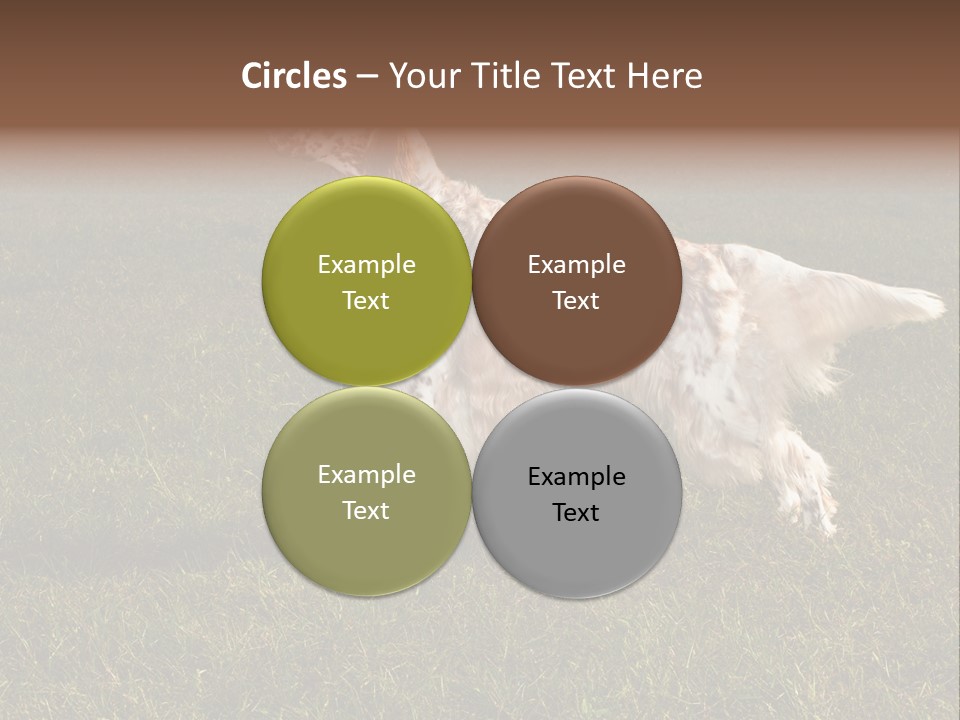A Brown And White Dog Standing On Top Of A Lush Green Field PowerPoint Template