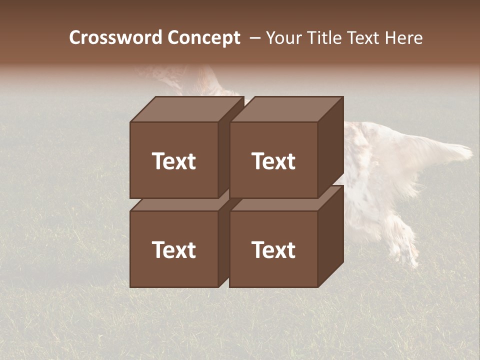 A Brown And White Dog Standing On Top Of A Lush Green Field PowerPoint Template