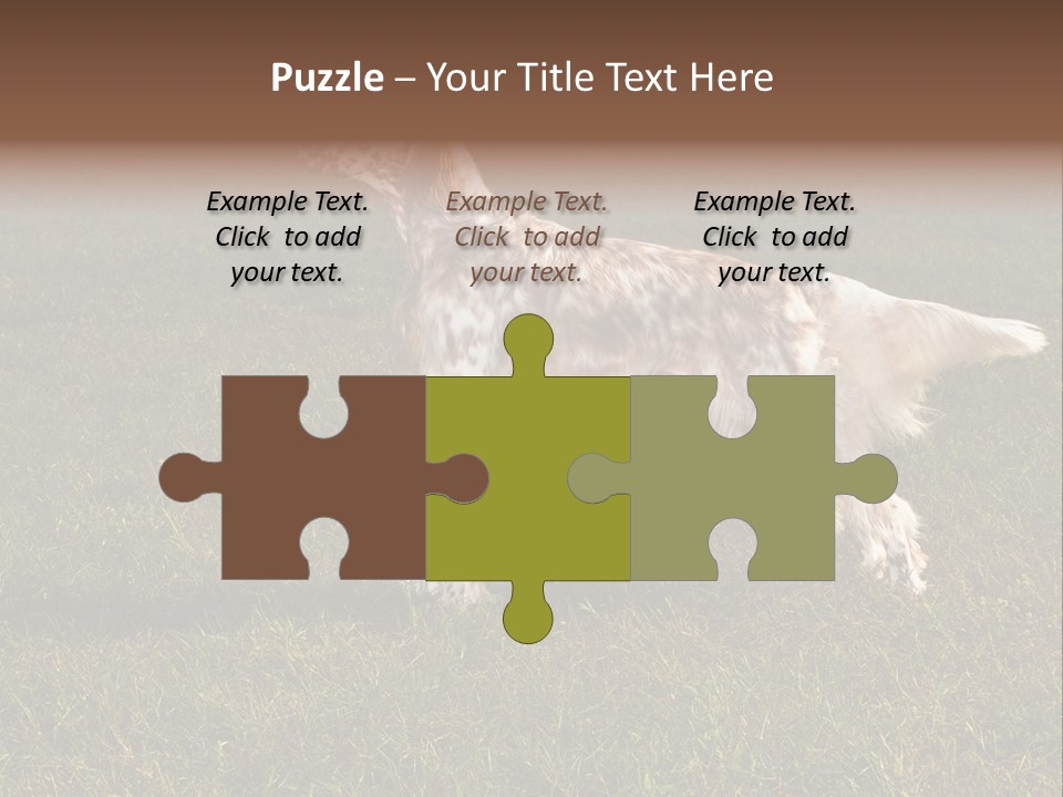 A Brown And White Dog Standing On Top Of A Lush Green Field PowerPoint Template