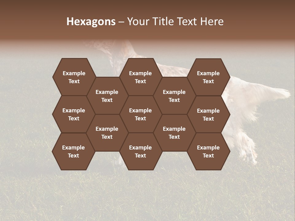 A Brown And White Dog Standing On Top Of A Lush Green Field PowerPoint Template