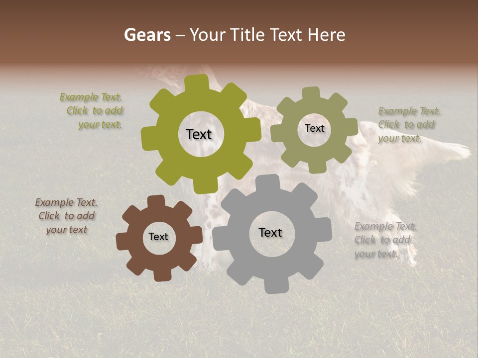 A Brown And White Dog Standing On Top Of A Lush Green Field PowerPoint Template