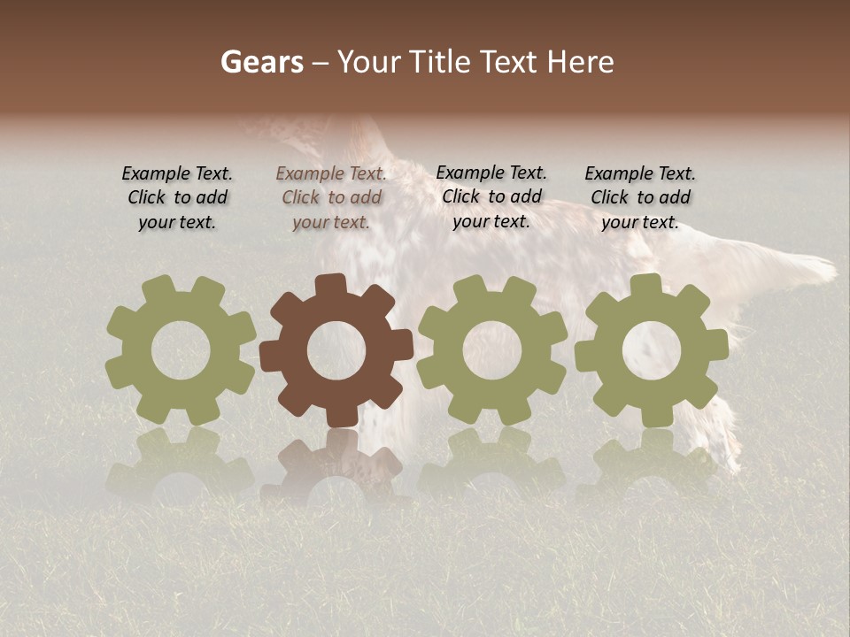 A Brown And White Dog Standing On Top Of A Lush Green Field PowerPoint Template