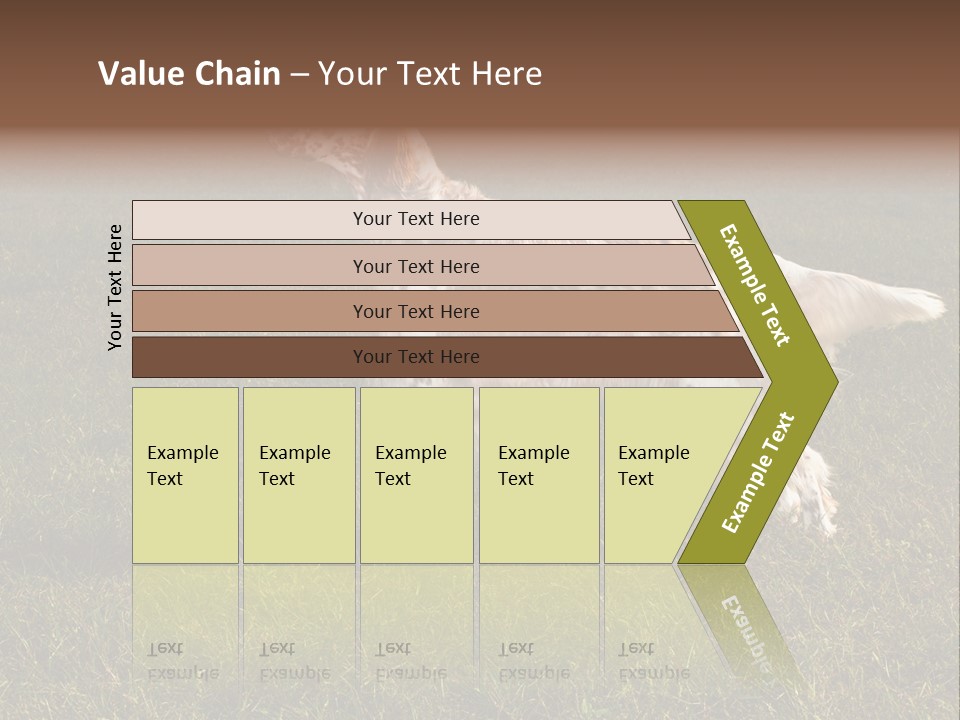A Brown And White Dog Standing On Top Of A Lush Green Field PowerPoint Template