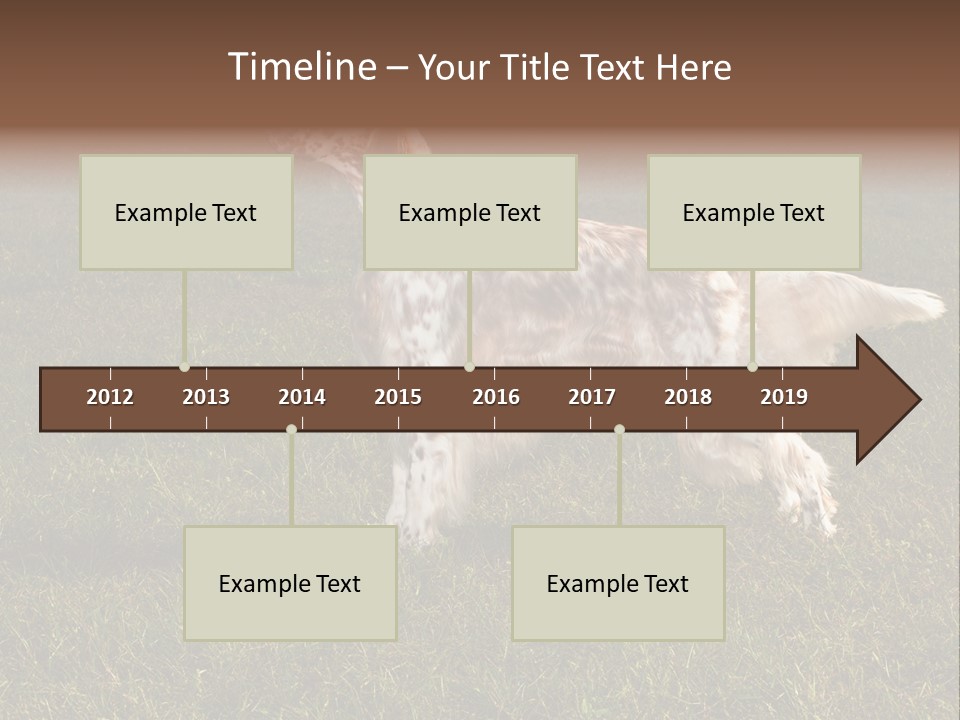 A Brown And White Dog Standing On Top Of A Lush Green Field PowerPoint Template