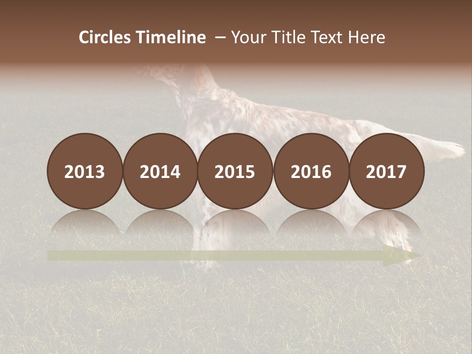 A Brown And White Dog Standing On Top Of A Lush Green Field PowerPoint Template