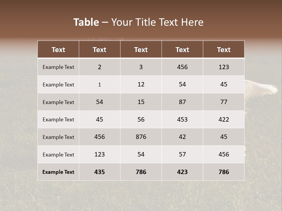A Brown And White Dog Standing On Top Of A Lush Green Field PowerPoint Template