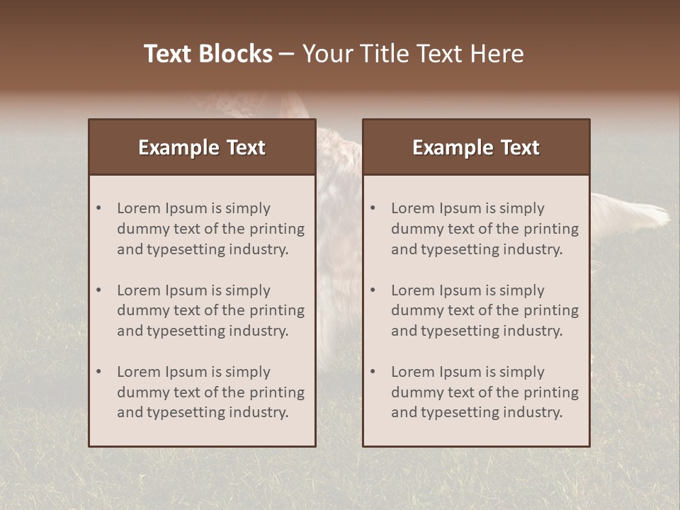 A Brown And White Dog Standing On Top Of A Lush Green Field PowerPoint Template