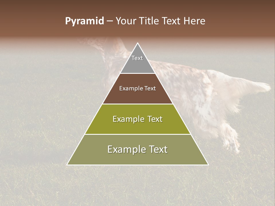 A Brown And White Dog Standing On Top Of A Lush Green Field PowerPoint Template
