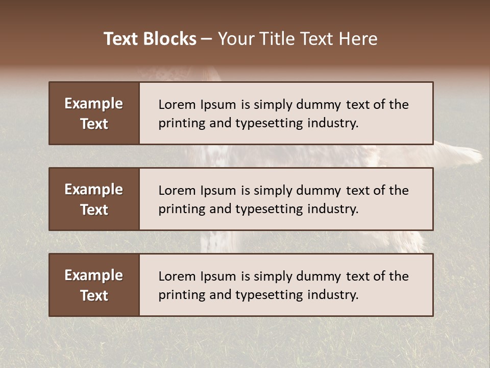 A Brown And White Dog Standing On Top Of A Lush Green Field PowerPoint Template