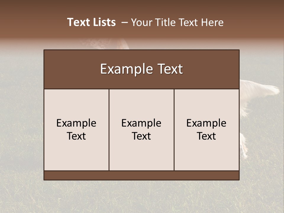 A Brown And White Dog Standing On Top Of A Lush Green Field PowerPoint Template