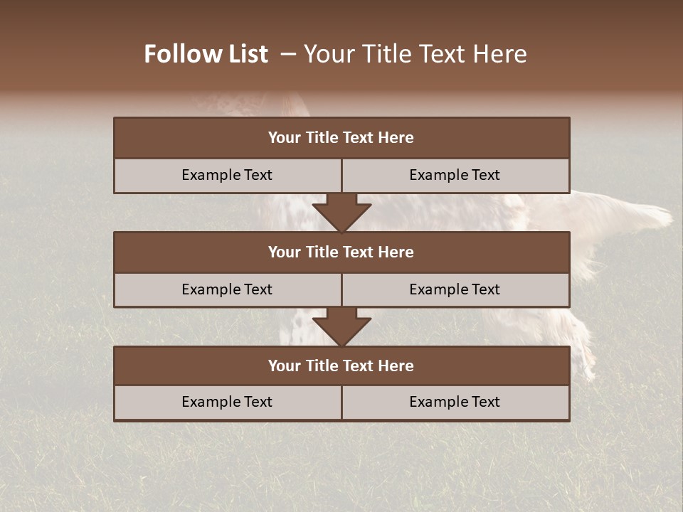 A Brown And White Dog Standing On Top Of A Lush Green Field PowerPoint Template