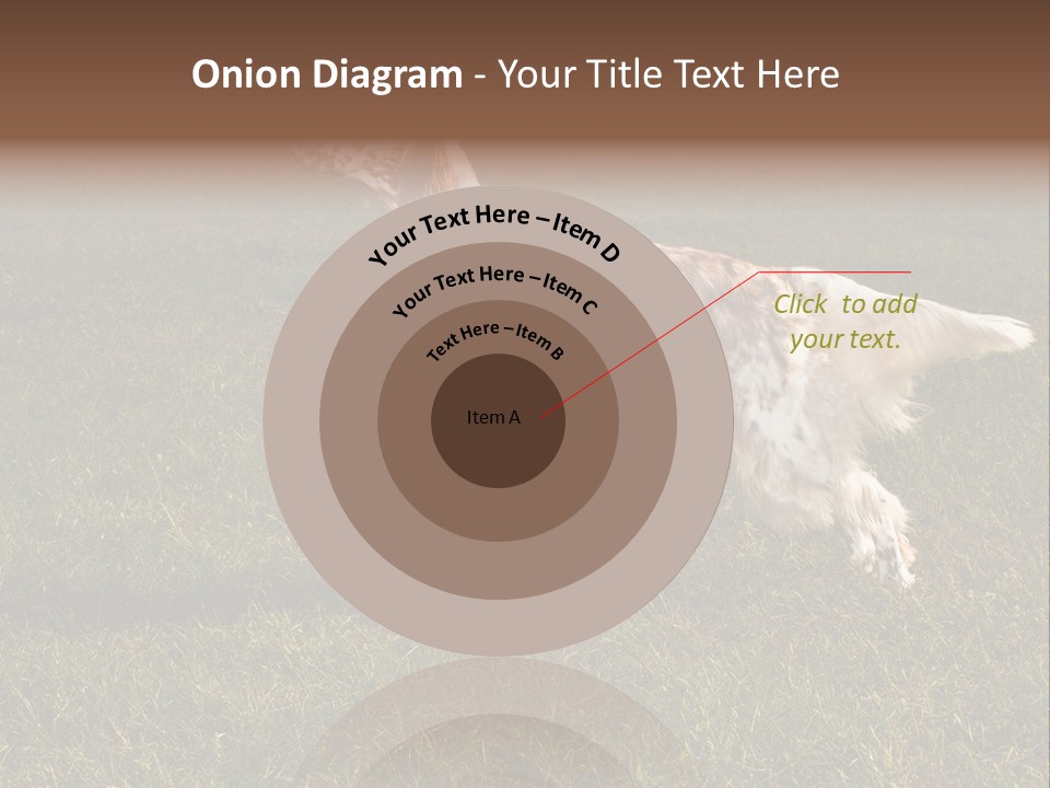A Brown And White Dog Standing On Top Of A Lush Green Field PowerPoint Template