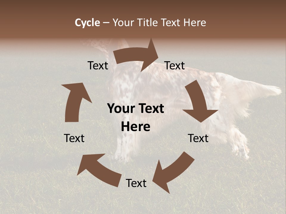 A Brown And White Dog Standing On Top Of A Lush Green Field PowerPoint Template