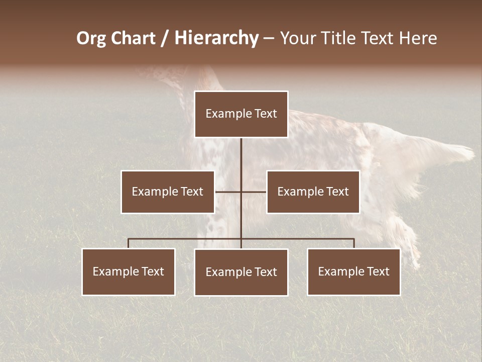A Brown And White Dog Standing On Top Of A Lush Green Field PowerPoint Template