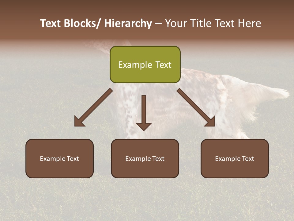 A Brown And White Dog Standing On Top Of A Lush Green Field PowerPoint Template