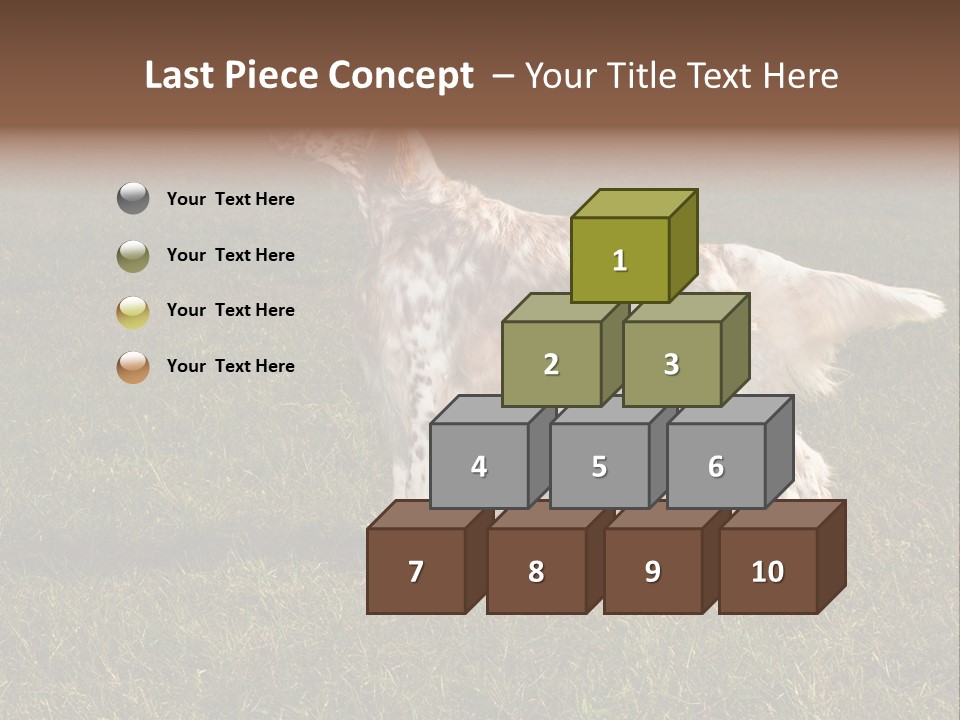 A Brown And White Dog Standing On Top Of A Lush Green Field PowerPoint Template
