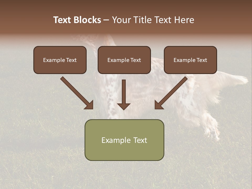 A Brown And White Dog Standing On Top Of A Lush Green Field PowerPoint Template