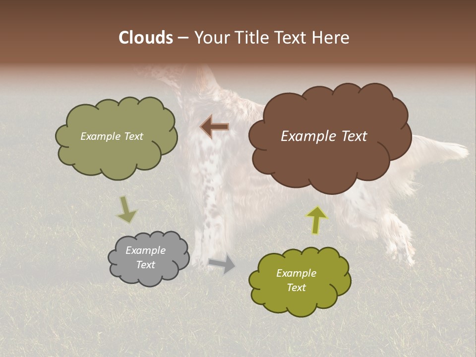 A Brown And White Dog Standing On Top Of A Lush Green Field PowerPoint Template