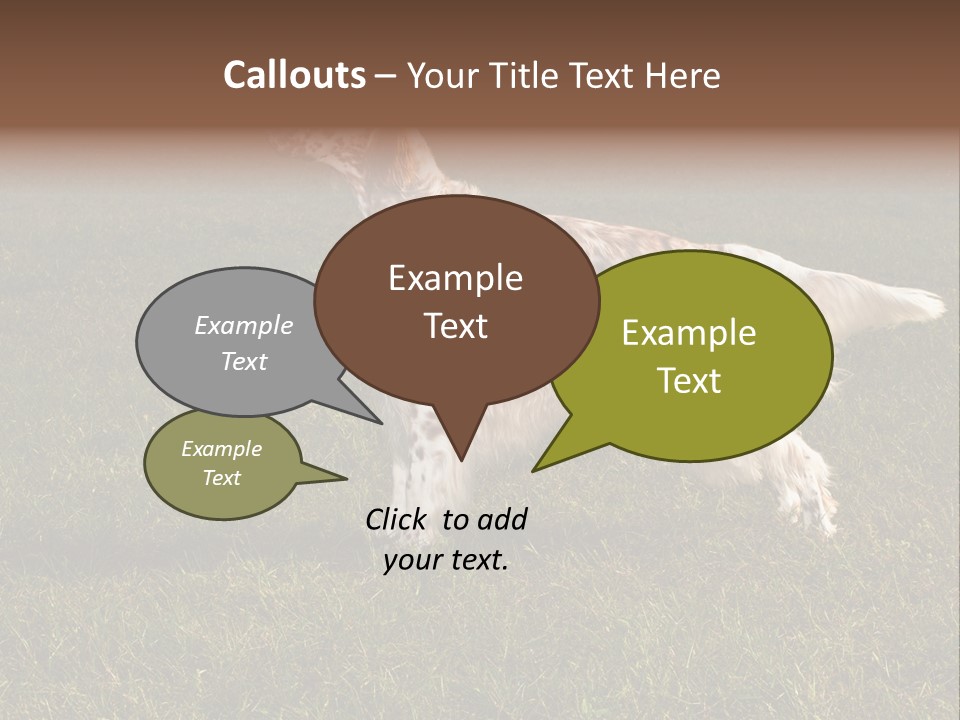 A Brown And White Dog Standing On Top Of A Lush Green Field PowerPoint Template
