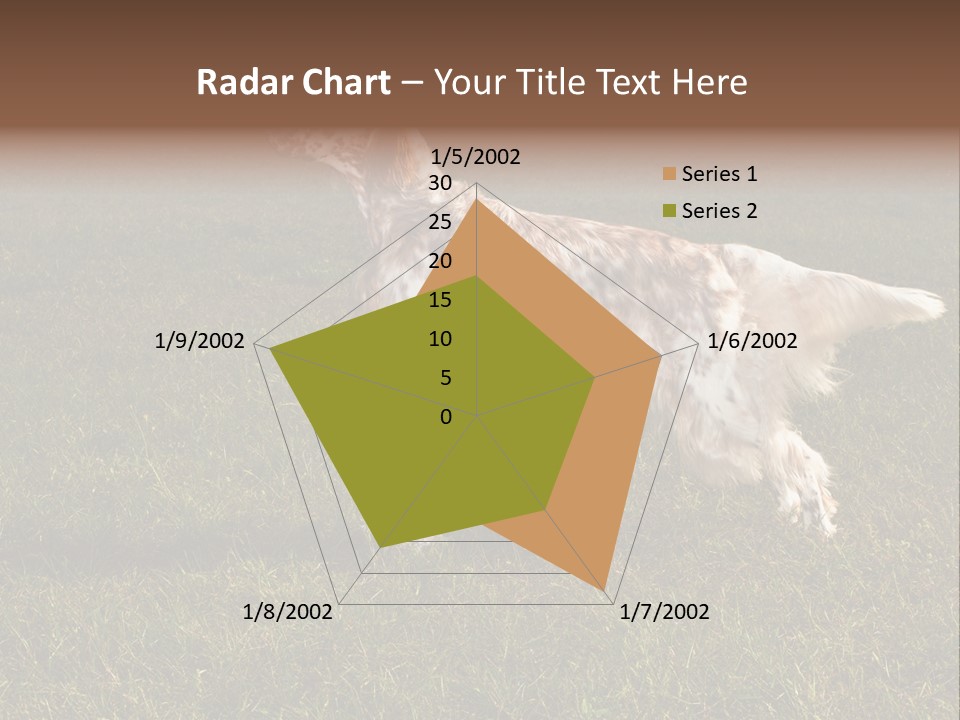 A Brown And White Dog Standing On Top Of A Lush Green Field PowerPoint Template