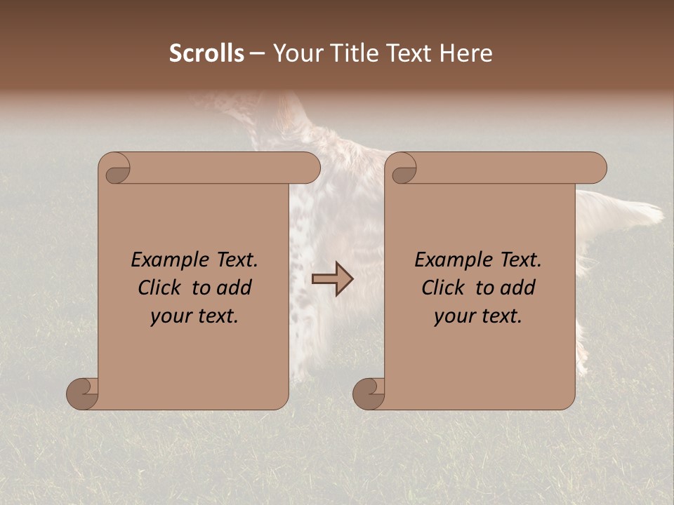 A Brown And White Dog Standing On Top Of A Lush Green Field PowerPoint Template