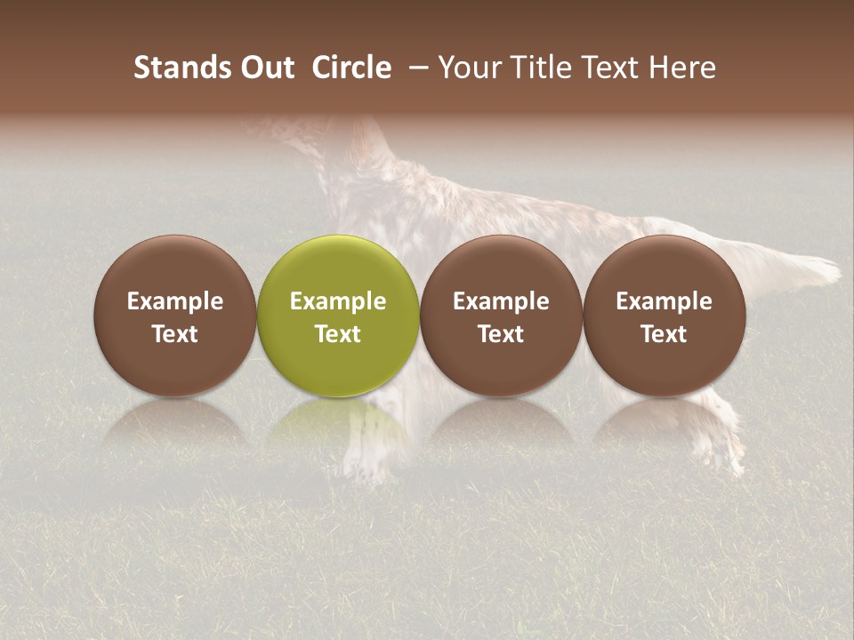 A Brown And White Dog Standing On Top Of A Lush Green Field PowerPoint Template