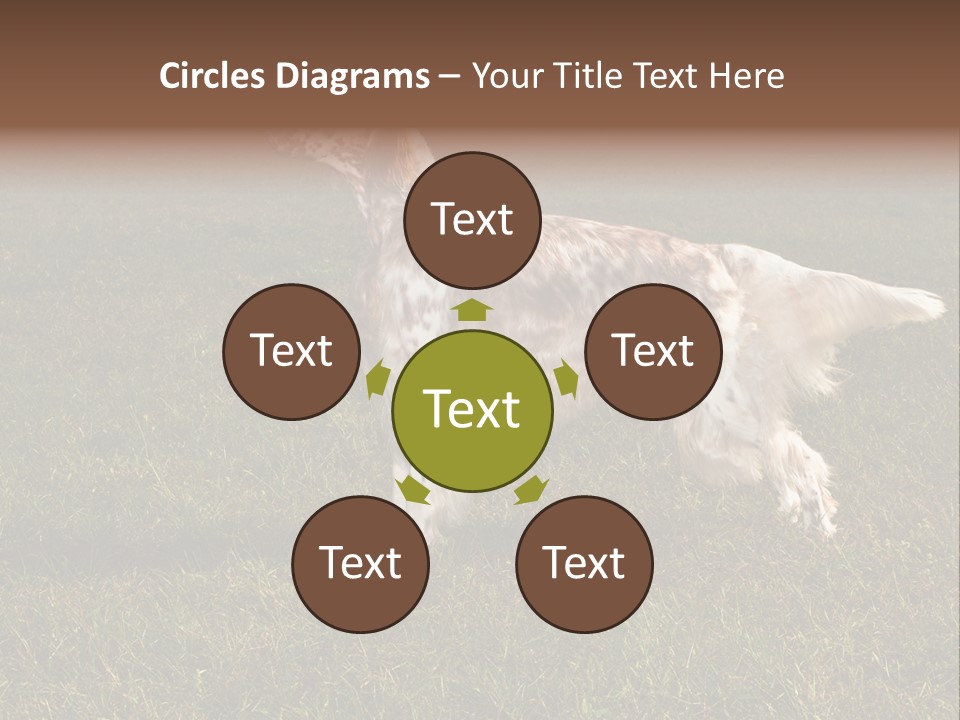 A Brown And White Dog Standing On Top Of A Lush Green Field PowerPoint Template