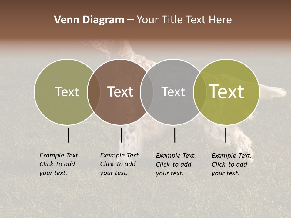 A Brown And White Dog Standing On Top Of A Lush Green Field PowerPoint Template