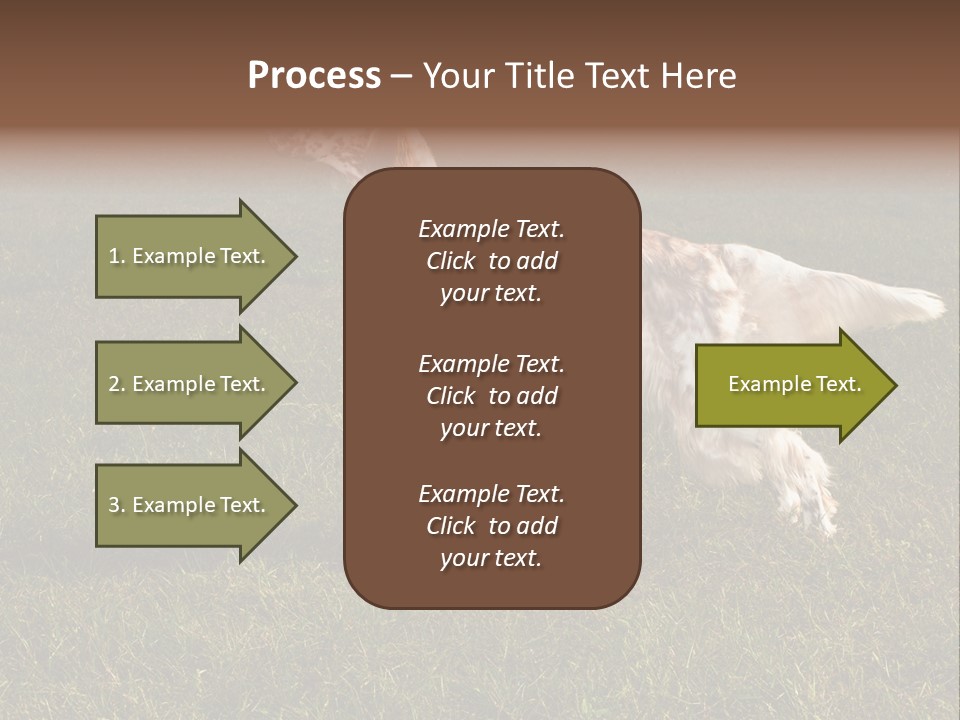 A Brown And White Dog Standing On Top Of A Lush Green Field PowerPoint Template