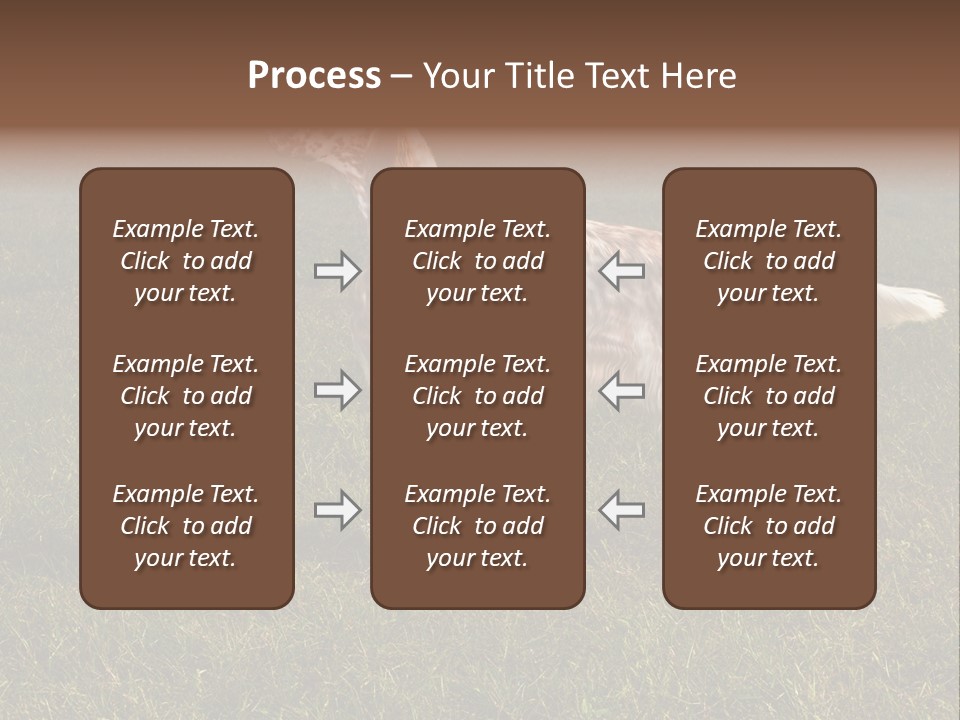 A Brown And White Dog Standing On Top Of A Lush Green Field PowerPoint Template